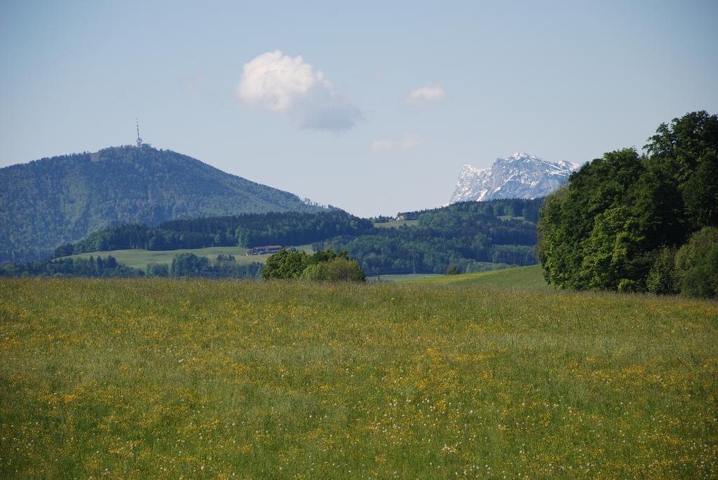Landhaus Brieger Henndorf am Wallersee Eksteriør billede